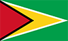 The Flag of Guyana